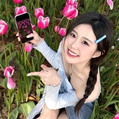 红盾先锋